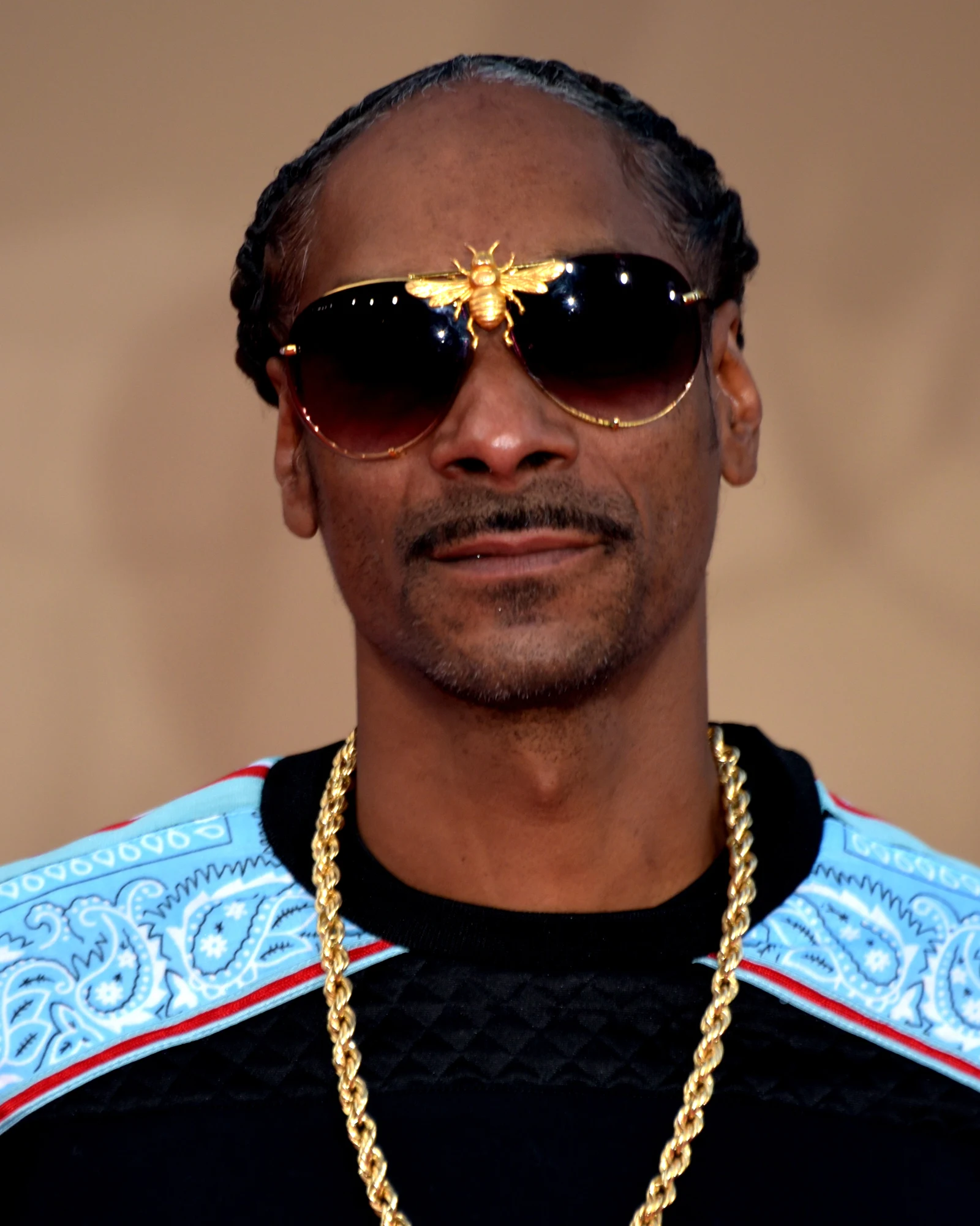 Snoop Dogg, nattes, lunettes de soleil ornées d’une abeille dorée et chaîne en or, à Hollywood, le 22 juillet 2019.